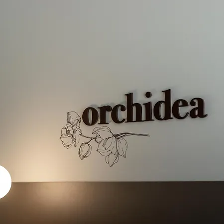 Noemi Chic And Aparthotel 4*