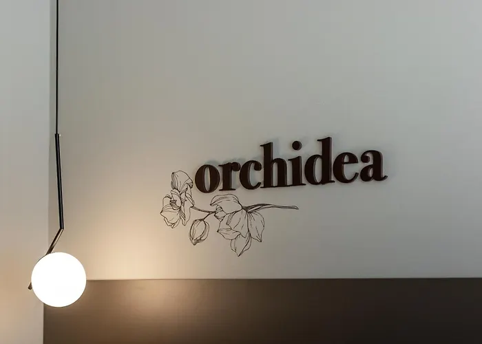 Noemi Chic And Aparthotel 4*